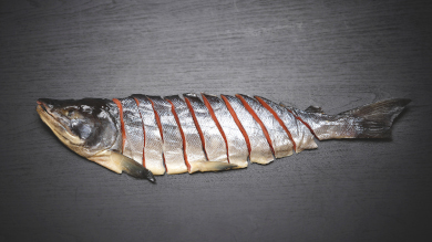 古式造り新巻鮭(辛口)半身姿切り身 1.2kg前後